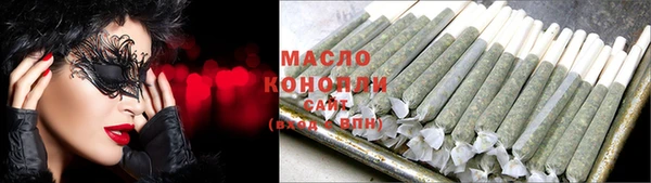 гидра Бородино