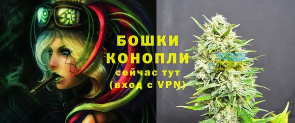 гидра Бородино