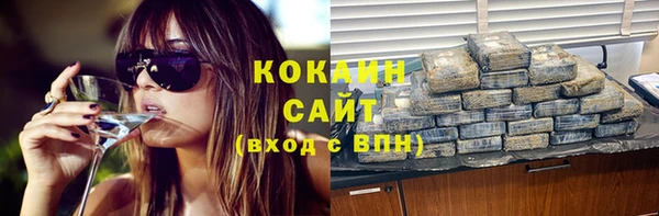 гидра Бородино