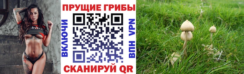 Галлюциногенные грибы прущие грибы  купить наркотик  MEGA зеркало  Тулун 